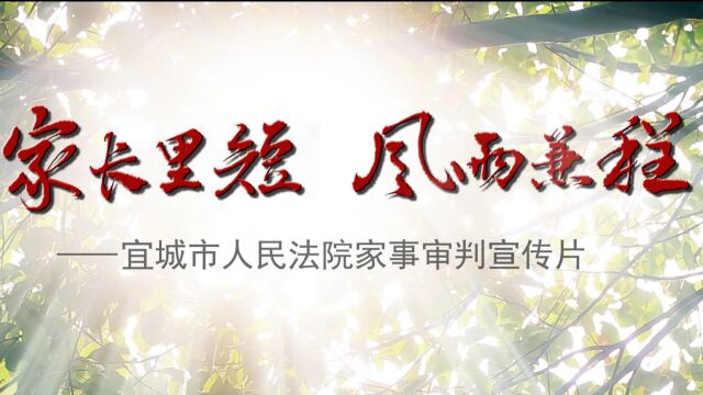 宜城法院家事审判庭宣传片——《家长里短 风雨兼程》