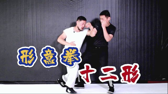 稀少!庞老师剖析:形意拳十二形到底练什么