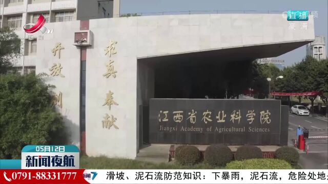 江西省农科院成功克隆出水稻“耐高温”基因