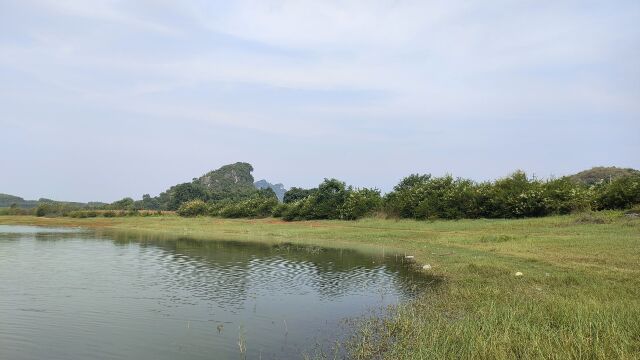 夏天的山水