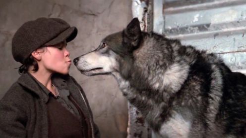 冒险片：女孩救下一只狼，为报救命之恩，狼陪女孩千里寻找父亲，8分钟看完《狼女传奇》