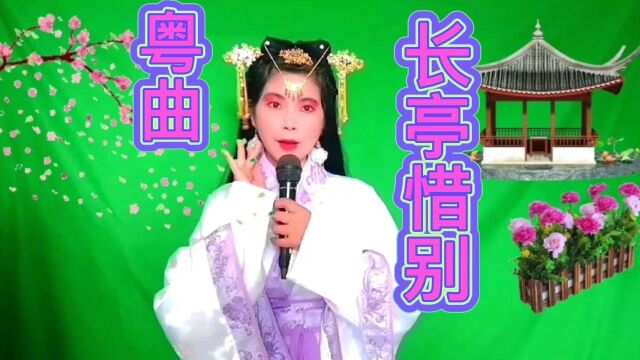 粤曲(长亭惜别)李益与霍小玉的爱情故事