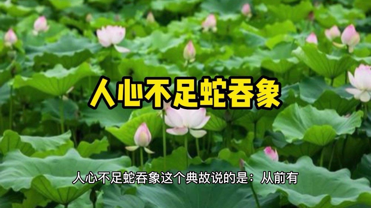 人心不足蛇吞象(汉语成语)_搜狗百科