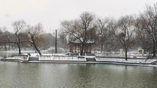 倒放素材,特效:雪花由地面湖面飘上空中