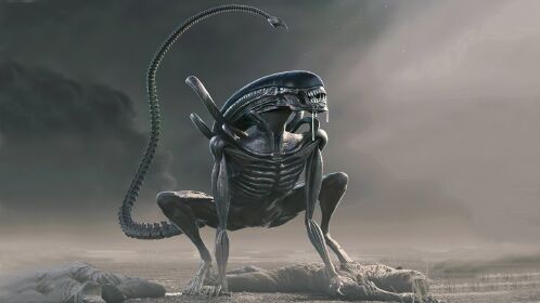 异形7异形终究还是爆发了在宇宙中如瘟疫一般收割着人类