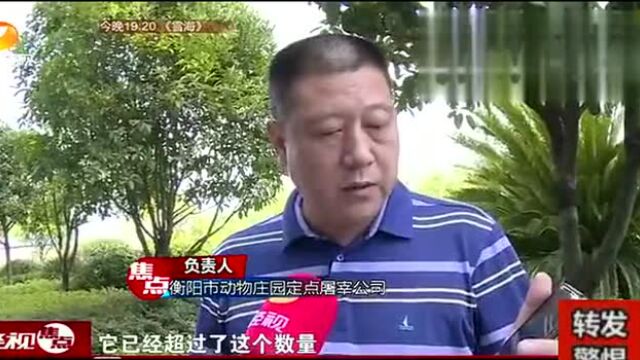 抓了,大快人心