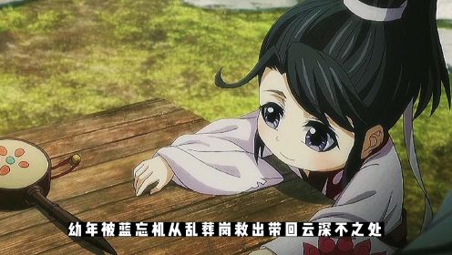 魔道祖师：斯文秀雅，仪表不俗，姑苏蓝氏蓝思追