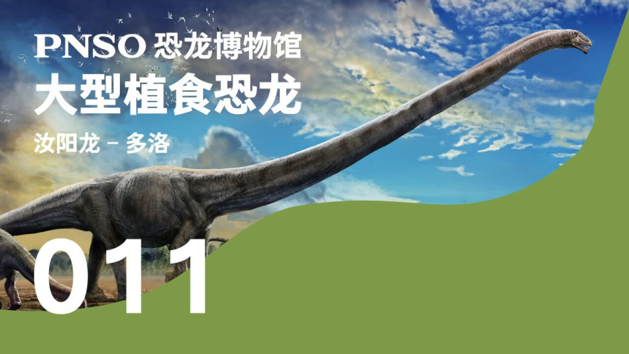 有10头大象那么重的恐龙——汝阳龙-多洛