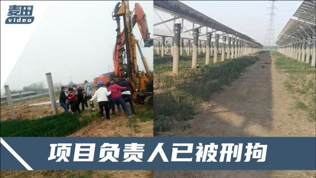 百亩麦地因建光伏电站被强铲?官方公开调查结果,涉事公司被立案