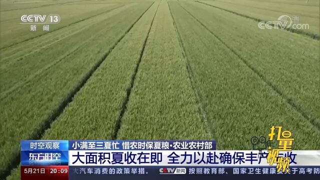 农业农村部:大面积夏收在即,全力以赴确保丰产丰收