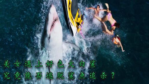 鲨颤：美女被困海中，与大白鲨斗智斗勇
