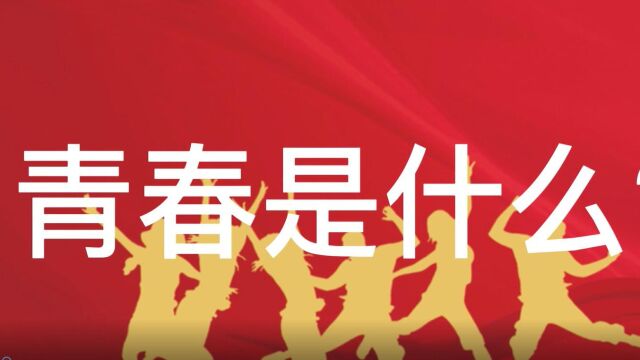 “青”力而为 逐梦前行——直属分局庆建团100周年