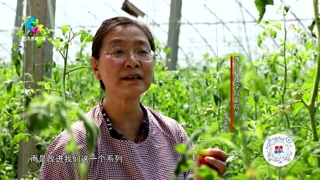 教育筑梦人|李美芹:让更多蔬菜装上“中国芯”