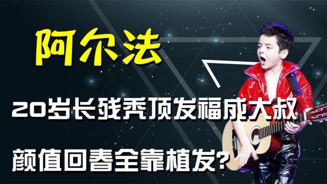 童星阿尔法5岁火遍全国,长大后却因秃顶遭群嘲,他真的长残了吗