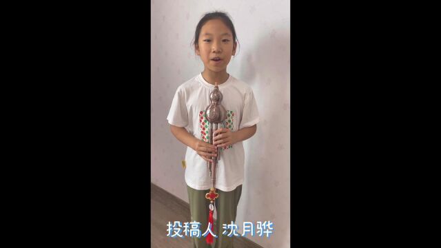 乐器演奏及表演类