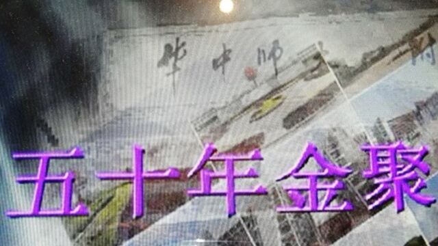 五十年金聚(娱乐版)