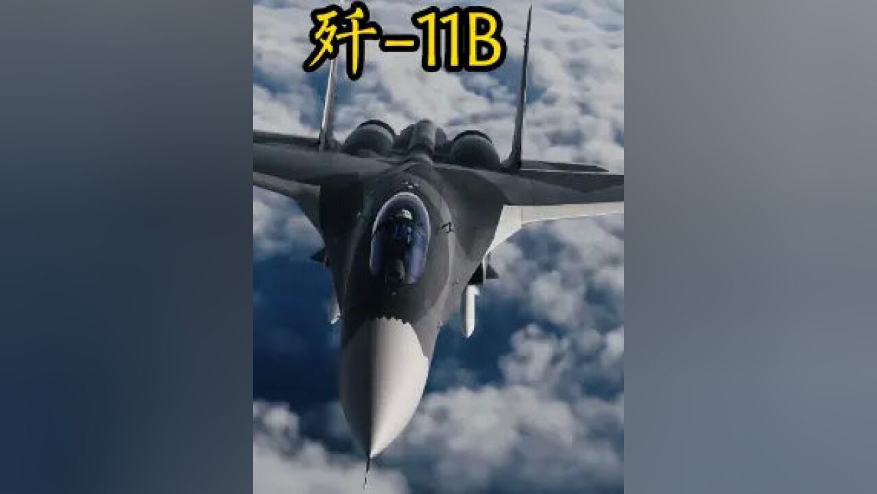 當殲11換上殲20的塗裝,檔次感直接拉滿#殲11 #殲20 #戰鬥機#航空 #遊