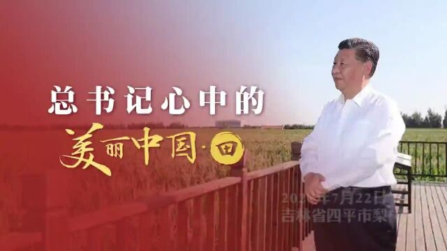 总书记心中的美丽中国ⷧ”𐠥ƒ保护大熊猫一样保护耕地