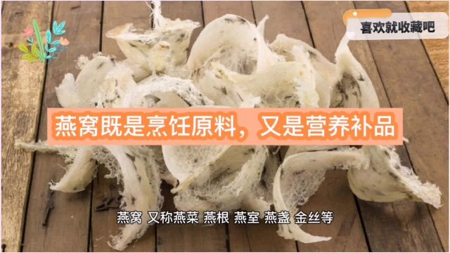 医学博士书中写道:燕窝既是烹饪原料,又是营养补品