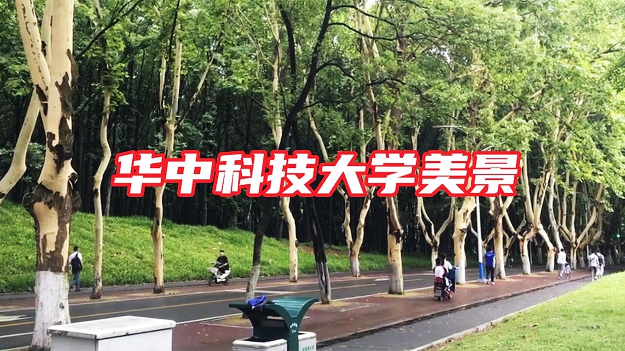 湖北教育網站_湖北教育在線網_湖北網站教育平臺登錄