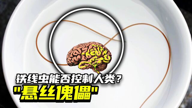 科普纪录片:“悬丝傀儡”,铁线虫入侵能否控制人类?