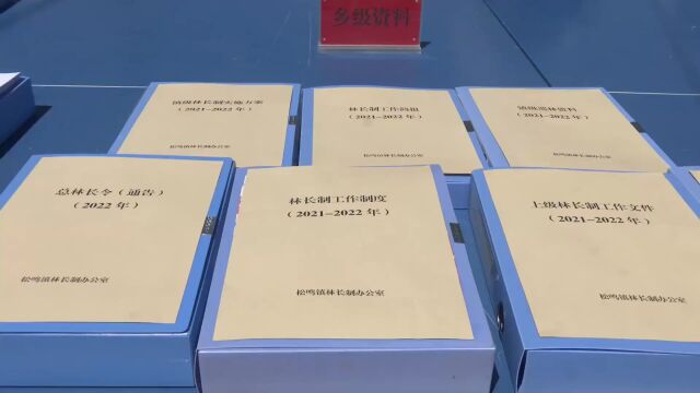 全省林长制改革专题培训班观摩团来我县调研