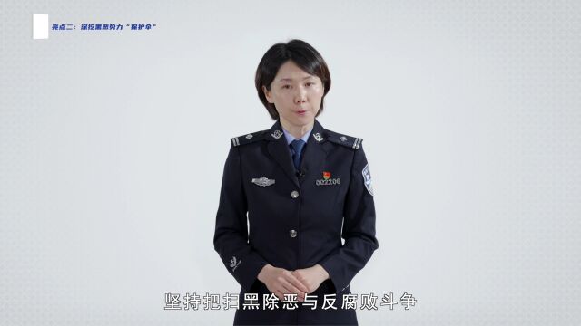 《中华人民共和国反有组织犯罪法》六大亮点二: 深挖黑恶势力“保护伞”