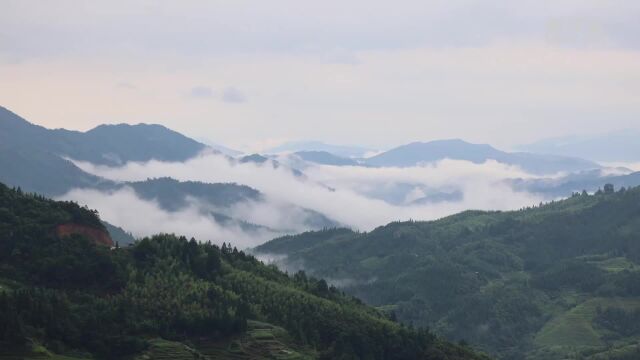 夏日梯田入画来