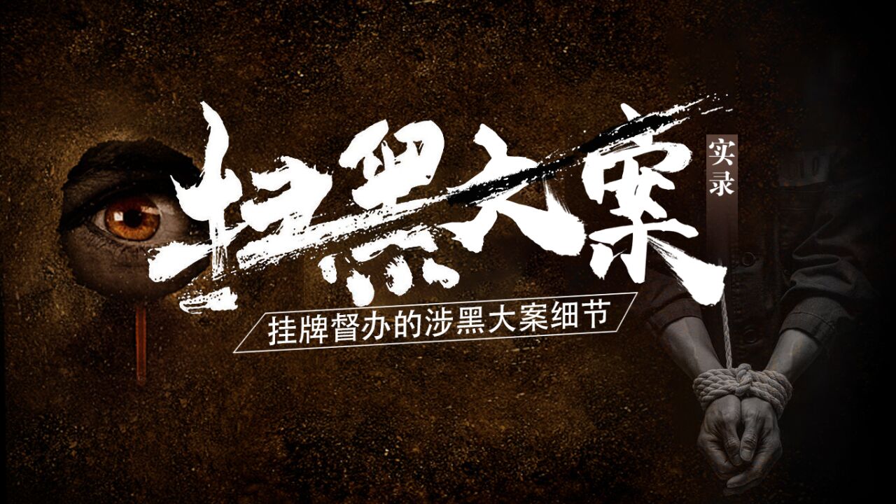 第11集福布斯新首富涉黑案辽阳四毛子张宏东伏法记