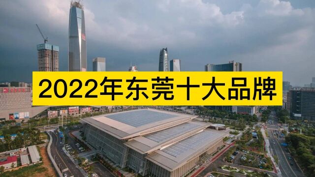 2022年东莞市十大品牌,OPPO、VIVO、立讯精密分列前三