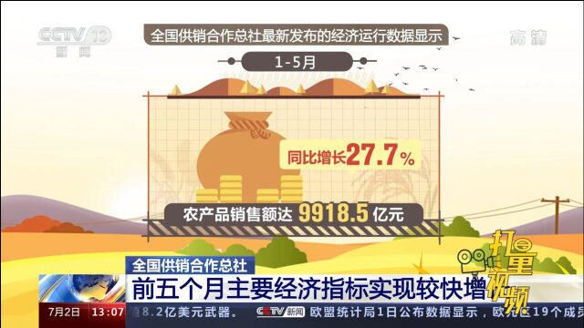 全国供销合作总社:前五个月主要经济指标实现较快增长