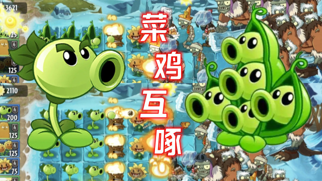 植物大战僵尸游戏解说:双枪豌豆vs豌豆荚,菜鸡互啄?