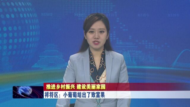 祥符区:小葡萄结出了致富果