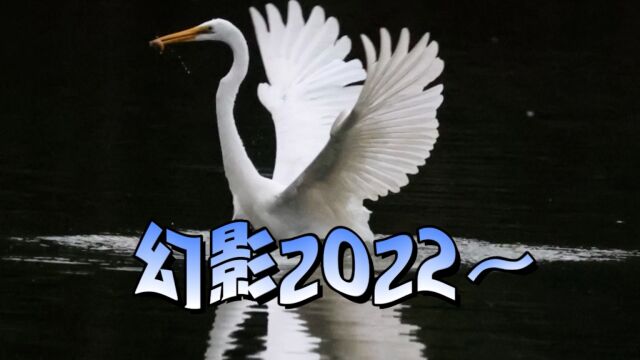 幻影2022