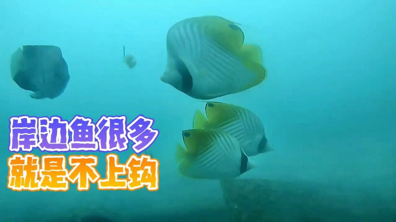 海洋百事
