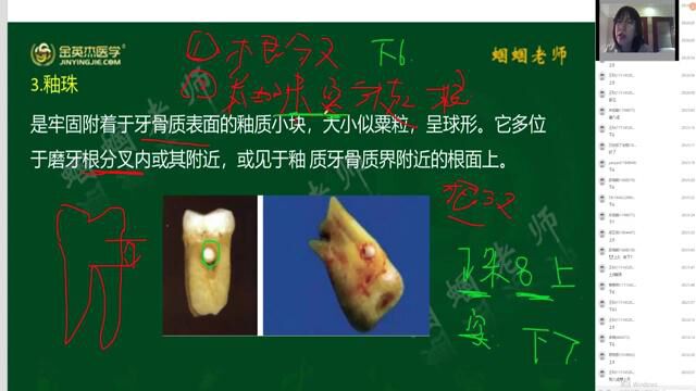 口腔主治医师考试23.第二单元口内1牙体牙髓