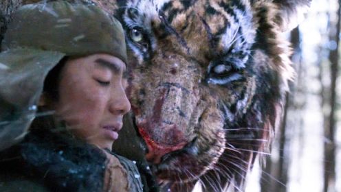 重伤的老虎为报养育之恩，从狼群之中救下男孩！冒险电影