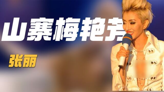 张丽:模仿梅艳芳走火入魔,整容10余次捞金百万,刘德华见她落泪