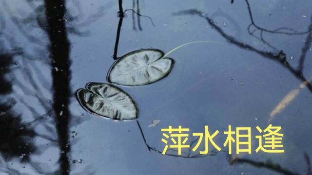 “萍水相逢”这则成语与王勃的《滕王阁序》有关系