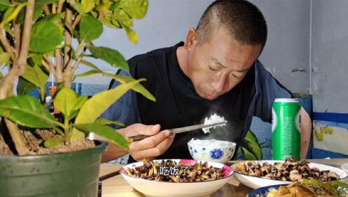 白天从老家回来,晚上一人炒了一个菜,真幸福啊文斌家下饭菜2022-07-23