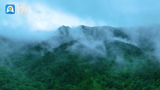 大美山东丨济南九如山雨后现平流雾 山色朦胧宛如仙境