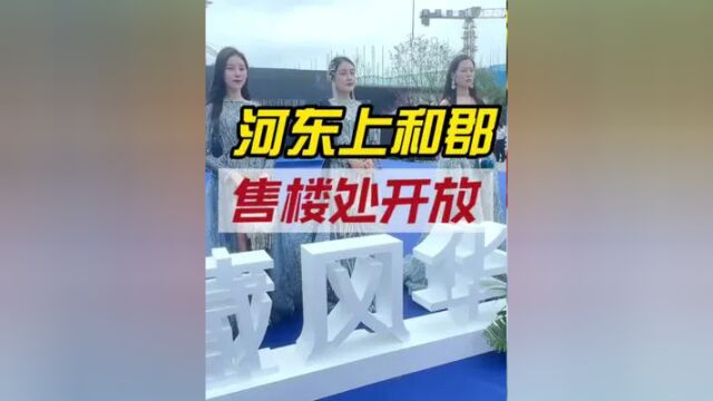 临沂河东区东兴路的上和郡售楼处开放,#临沂房产