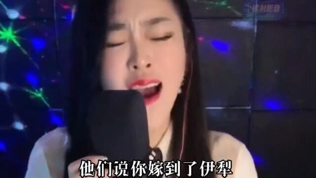 超好听的抖音5首歌,你听过吗?