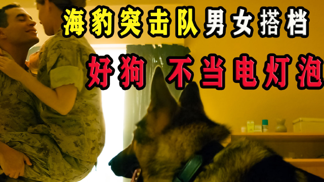 恶霸军犬欺负女兵,却被女兵轻松拿捏,最终人狗合一