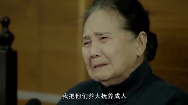 看见母亲状告几个儿子,却只要他们付九个月的房钱,全场人泪奔伦理片