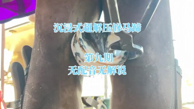 你们要的无解说无背景乐来咯