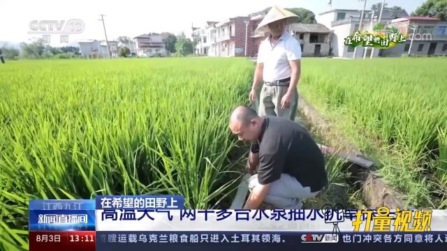 江西九江:高温天气,两千多台水泵抽水抗旱保生产