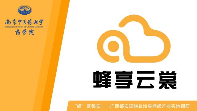 南京中医药大学“蜂享云裳“实践团广西都安蜂产业实地调研与实践(蜂场篇)