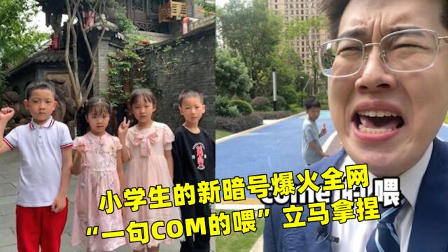 小学生新暗号爆火全网,孤勇者时代已经过去,COM的喂是什么梗?