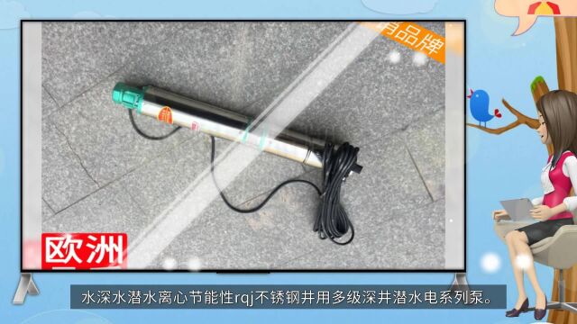 水深水潜水离心节能性rqj不锈钢井用多级深井潜水电系列泵